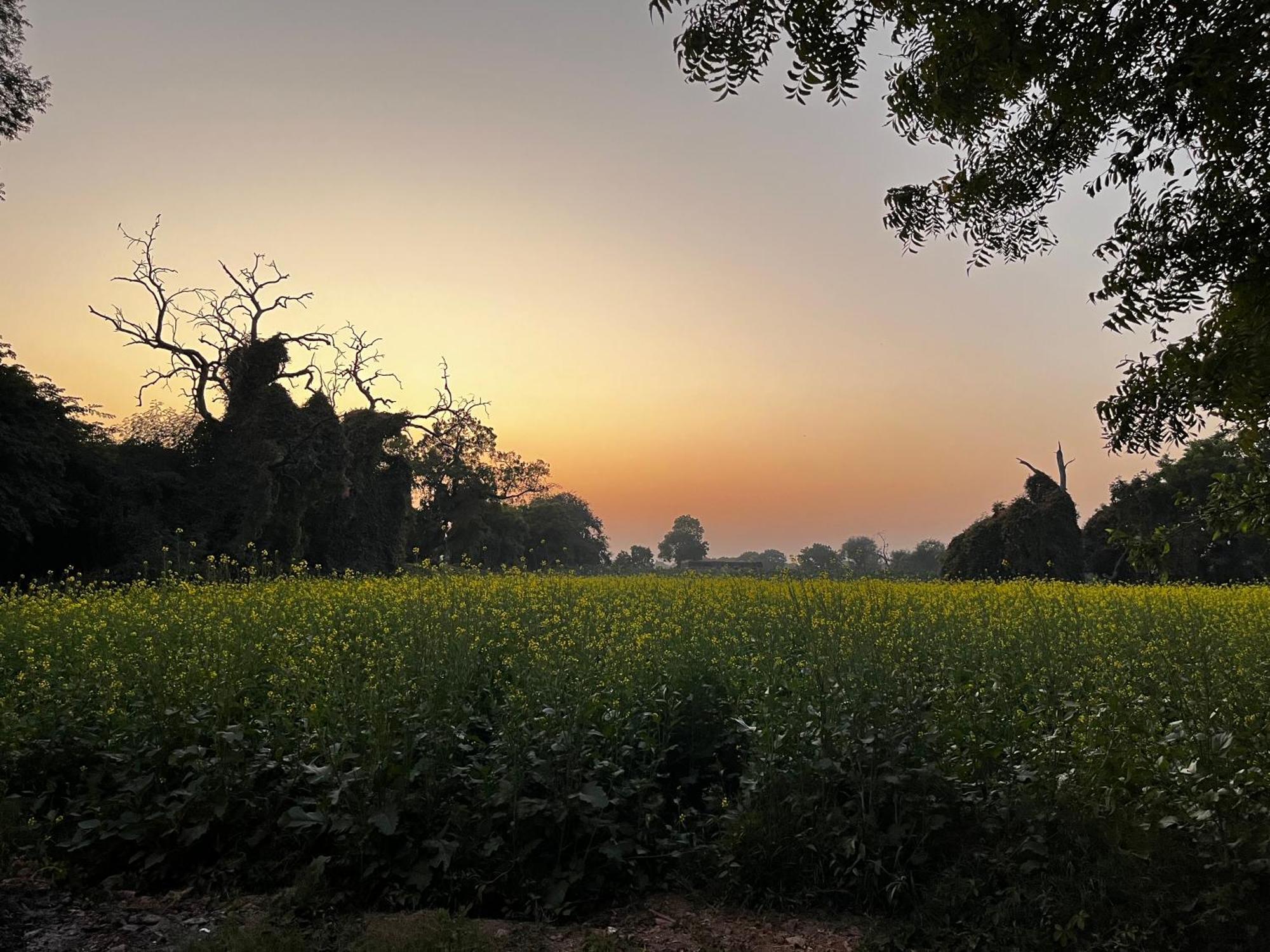 Sharad Baug Homestay ブジ エクステリア 写真