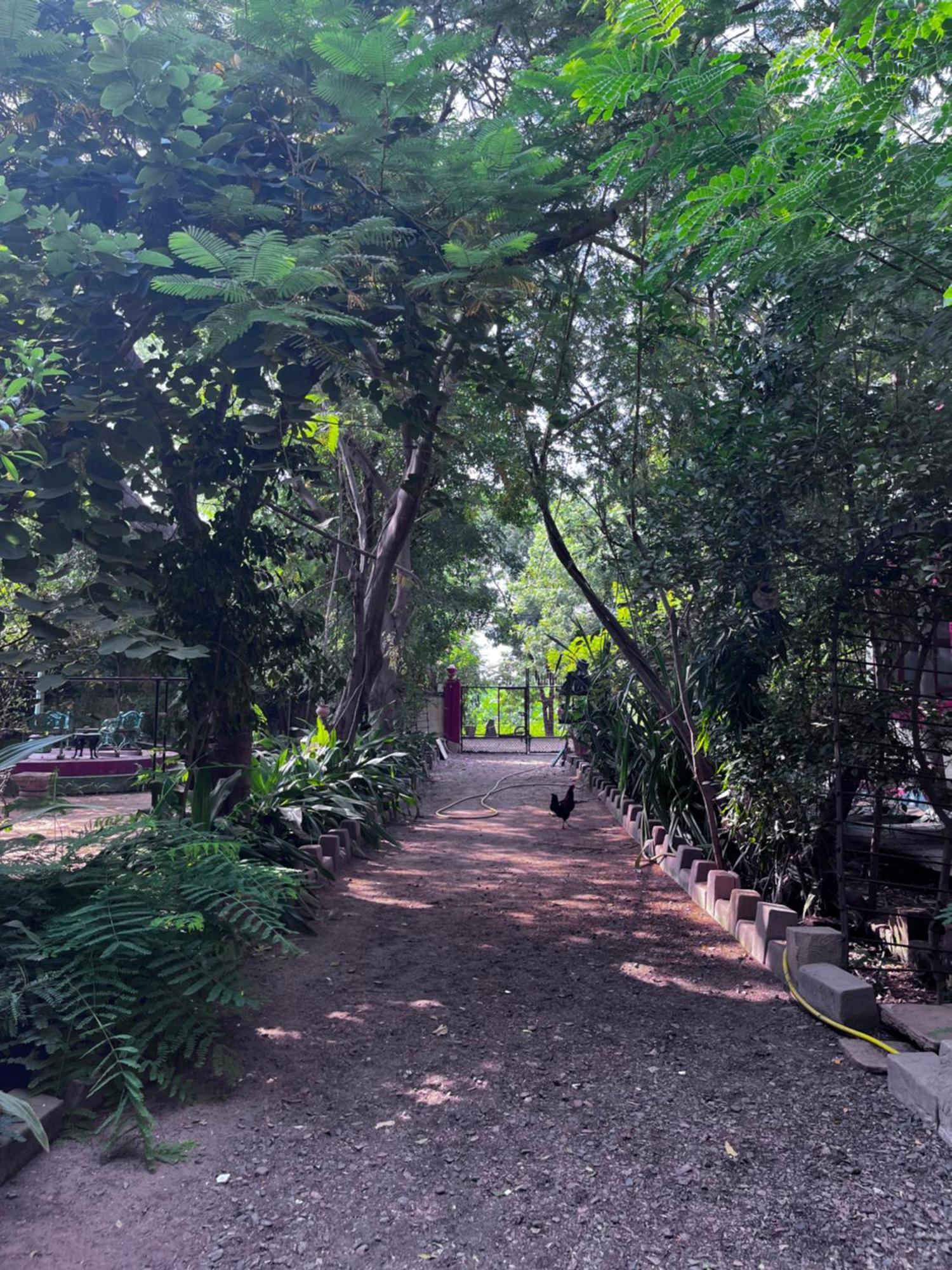 Sharad Baug Homestay ブジ エクステリア 写真