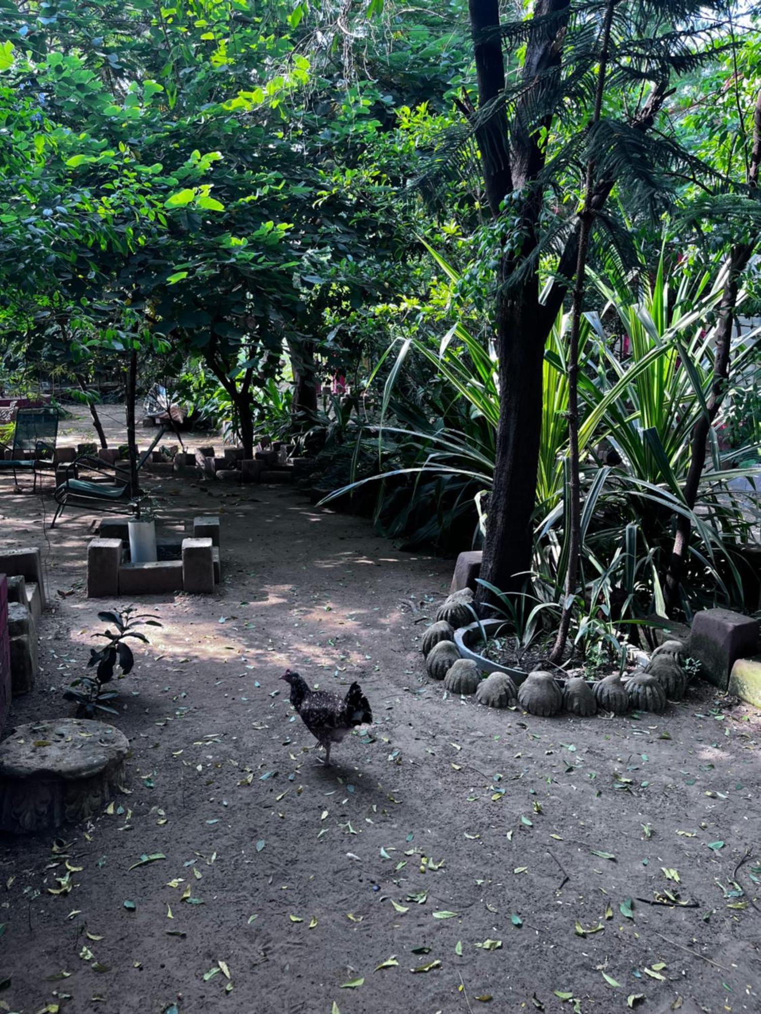 Sharad Baug Homestay ブジ エクステリア 写真
